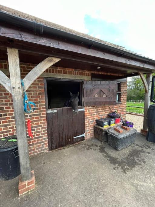 The Stable, Grove End Farm Appartement Petworth Buitenkant foto