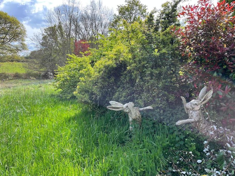 The Stable, Grove End Farm Appartement Petworth Buitenkant foto